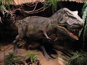 220px-tyrannosaurus-01-zoo.dvur.kralove.jpg